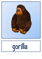 Vorschau - Bildkarten - Flashcards - Growing bundle - Seite 2