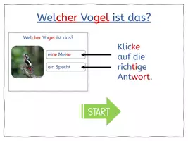 Vorschau - Arbeitsblätter - XL-Paket: Tiere und Vögel im Winter - Seite 3