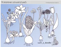 Vorschau - Mal- und Bastelvorlagen - Frühblüher schwarzweiß Blumen im Frühling - Deckblatt