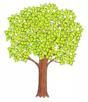 Vorschau - selbst erstellte Cliparts/Grafiken - 4 Jahreszeiten Baum - Seite 2