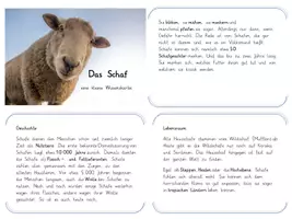 Vorschau - Arbeitsblätter - Wissenskartei Schaf - Deckblatt