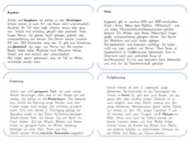 Vorschau - Arbeitsblätter - Wissenskartei Schaf - Seite 1