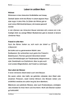 Vorschau - Arbeitsblätter - Verschiedene Einheiten zum antiken Rom - Seite 3