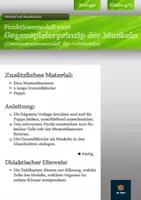 Vorschau - Experimente - Muskeln - Funktionsmodell zum Gegenspielerprinzip der Muskeln - Deckblatt