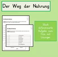 Vorschau - Arbeitsblätter - Der Weg der Nahrung - 3fach differenziert - Deckblatt