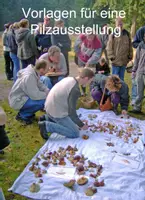 Vorschau - Unterrichtsreihen - Pilze - Seite 1