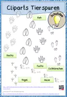 Vorschau - selbst erstellte Cliparts/Grafiken - Cliparts Tierspuren Tiere im Winter - Deckblatt