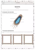 Vorschau - Stundenentwürfe - Materialpaket - Immunbiologie - Deckblatt