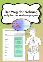 Vorschau - Arbeitsblätter - Der Weg der Nahrung - Aufgabe der Verdauungsorgane - Deckblatt