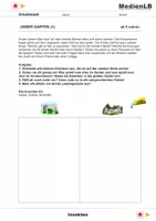 Vorschau - Arbeitsblätter - Insekten - Arbeitsblätter mit Lösungen - Deckblatt