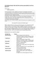 Vorschau - Stundenentwürfe - Immunabwehr des Menschen - Seite 2