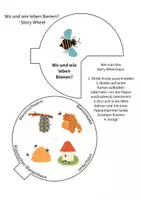 Vorschau - Mal- und Bastelvorlagen - Bastelarbeit Story Wheel - Bienen - auch für Homeschooling - Seite 1