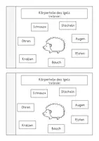 Vorschau - Arbeitsblätter - Miniheft und Erarbeitungsmaterial Der Igel - Seite 1