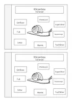Vorschau - Arbeitsblätter - Miniheft und Erarbeitungsmaterial Die Schnecke - Seite 1