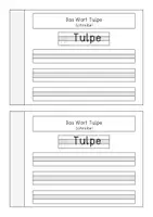 Vorschau - Arbeitsblätter - Miniheft und Erarbeitungsmaterial zum Thema "Tulpe" - Seite 3