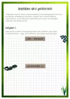 Vorschau - Arbeitsblätter - Kleines Tierschützer-Heft - Amphibien in Gefahr - Seite 2