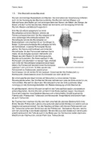 Vorschau - Stundenentwürfe - Der Baum (Wald, Aufbau, Wurzel, Baumstamm, Jahresringe/Dendrochronologie, Höhe von Bäumen bestimmen) - Seite 1