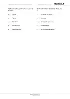 Vorschau - Test - Renaissance - Testaufgaben mit Lösungen - Seite 3