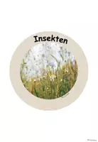 Vorschau - Merkblätter - Legekreis Insekten (Biene, Schmetterling, Marienkäfer, ...) - Seite 1