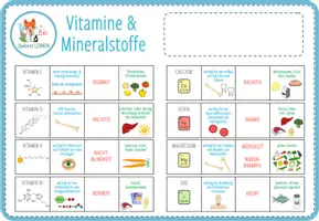 Vorschau - Spiele - Vitamine & Mineralstoffe – digitales Zuordnungsspiel für Computer & iPad - Seite 1