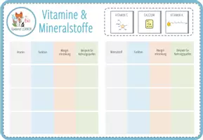 Vorschau - Spiele - Vitamine & Mineralstoffe – digitales Zuordnungsspiel für Computer & iPad - Seite 3