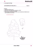 Vorschau - Arbeitsblätter - Unser Wald - Lösungsvorschläge - Deckblatt