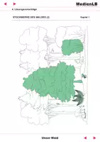 Vorschau - Arbeitsblätter - Unser Wald - Lösungsvorschläge - Seite 1