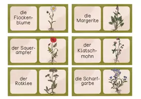 Vorschau - Spiele - Domino Wiesenpflanzen - Pflanzen auf der Wiese - zwei Versionen - Seite 2