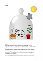 Vorschau - Mal- und Bastelvorlagen - Modellversuch Legekarten - Fotosynthese Maus, Pappel - Seite 3