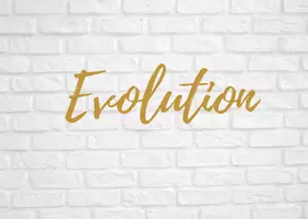 Vorschau - Fördermaterial/Inklusion - Evolution Strukturlegemethode Grundbegriffe Teil 1 - Seite 1