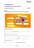 Vorschau - Arbeitsblätter - Das Ohr - Arbeitsblätter mit Lösungen - Deckblatt