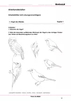 Vorschau - Arbeitsblätter - Tiere im Wald - Arbeitsblätter mit Lösungen - Deckblatt