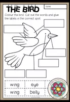 Vorschau - Arbeitsblätter - SPRING - The Bird: Cut and Glue - Deckblatt