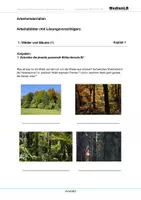 Vorschau - Arbeitsblätter - Auwald - Arbeitsblätter mit Lösungen - Deckblatt