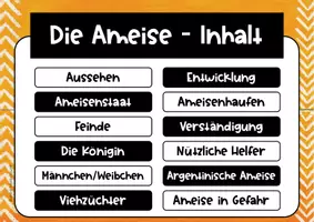 Vorschau - Interaktives Material - Interaktives Lernheft zur Ameise - Seite 3