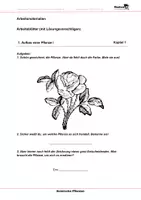 Vorschau - Arbeitsblätter - Heimische Pflanzen - Arbeitsblätter mit Lösungen - Deckblatt
