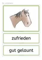 Vorschau - Arbeitsblätter - Wir lernen Pferdesprache Teil 1 - Material für Reittherapie und Reitunterricht - Seite 2