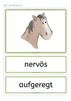 Vorschau - Arbeitsblätter - Wir lernen Pferdesprache Teil 1 - Material für Reittherapie und Reitunterricht - Seite 3