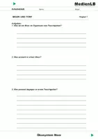 Vorschau - Arbeitsblätter - Ökosystem Moor - Arbeitsblätter mit Lösungen - Deckblatt