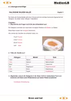 Vorschau - Arbeitsblätter - Halogene - Die Chemie von Brom und Iod - Lösungsvorschläge - Seite 2