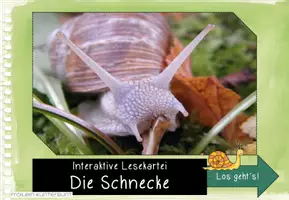 Vorschau - Interaktives Material - Interaktive Lesekartei Die Schnecke - Seite 3