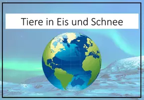 Vorschau - Arbeitsblätter - Tiere in Eis und Schnee - Seite 2