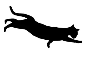 Vorschau - Stundenentwürfe - Kunstprojekt „Farbfamilien Katze“ – Schritt für Schritt Anleitung inkl. 5 Vorlagen - Seite 1