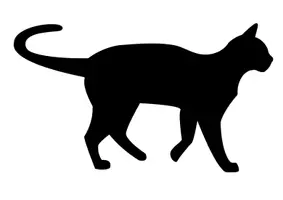 Vorschau - Stundenentwürfe - Kunstprojekt „Farbfamilien Katze“ – Schritt für Schritt Anleitung inkl. 5 Vorlagen - Seite 3