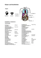 Vorschau - Unterrichtsreihen - B1 / B2 / C1 Vokabular: Körper / Krankheiten - Seite 3