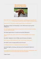 Vorschau - Stundenentwürfe - Schlecht-Wetter-Alternativen Reitpädagogik - Deckblatt
