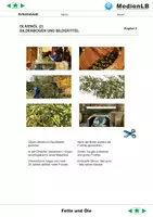 Vorschau - Arbeitsblätter - Fette und Öle - Arbeitsblätter mit Lösungen - Seite 3