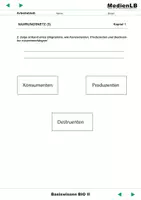 Vorschau - Arbeitsblätter - Basiswissen BIO II - Arbeitsblätter mit Lösungen - Seite 3
