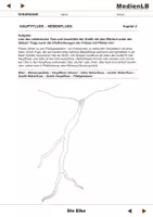 Vorschau - Arbeitsblätter - Die Elbe - Arbeitsblätter mit Lösungen - Seite 3