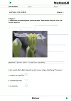 Vorschau - Arbeitsblätter - Blüten - Arbeitsblätter mit Lösungen - Deckblatt